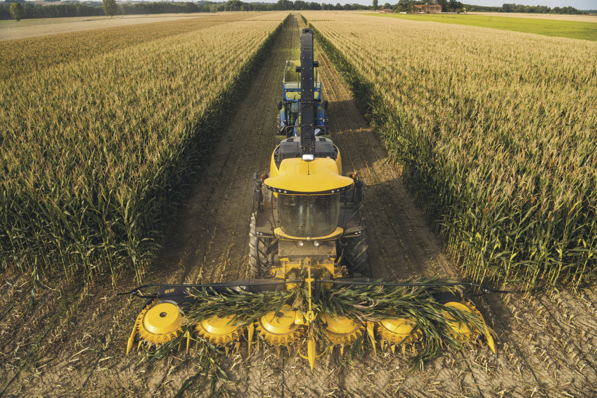 FR FORAGE CRUISER Stage V